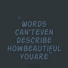 Words Cant Explain Quotes Quotesgram