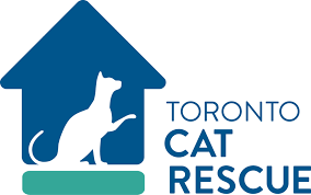 Help reuniting lost pets by placing lost and found pet flyers in your neghbourhood. Lost And Found Toronto Cat Rescue