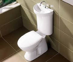 dual flush toilet is a sink and