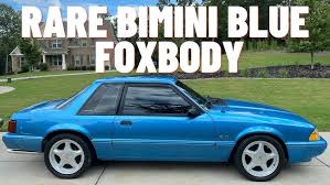 Image result for Bimini Blue 1992 Tempo