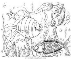 Verschiedene Fische 43 Gratis Malvorlage In Fische Tiere Ausmalen Mädchen und jungen dürfen sich über fröhliche windowcolor malvorlagen freuen. verschiedene fische 43 gratis