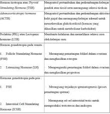 Kelenjar pineal terletak di bagian tengah otak, dan berfungsi sebagai bagian dari sistem endokrin yang fungsinya memproduksi hormon melatonin. Struktur Kelenjar Endokrin Pdf Free Download