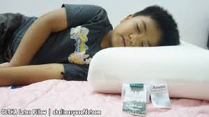 Setelah lelah beraktivitas dan bekerja seharian, bantal yang empuk, wangi dan bersih menjadi. Benarkah Pemilihan Bantal Yang Betul Membantu Anda Tidur Lena