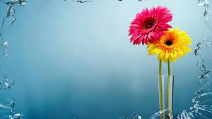 Download hd 3840x1080 wallpapers best collection. Desktop Hd Hintergrundbilder Fur Windows 10 Windows 10 Wallpaper Hd 3d Fur Desktop 1920x1080 Wallpapertip