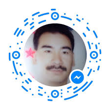 TOP 10 BEST Mma Gyms in Greater Carrollwood, FL