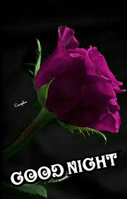 శ భర త ర Gnapika Good Night Sharechat Romantic Good Night Beautiful Good Night Images Good Night Image