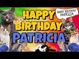 Check spelling or type a new query. Happy Birthday Patricia Crazy Cats Say Happy Birthday Patricia Very Funny Youtube