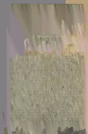 Diccionario provincial casi-razonado de vozes cubanas