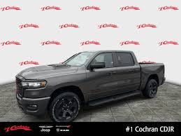 Image result for Granite Gray 1951 Dodge Truck