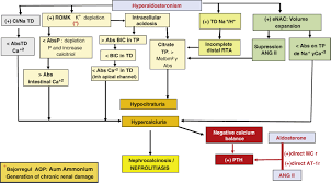 Image result for Hyperaldosteronism