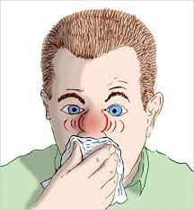 The Claim Never Blow Your Nose When You Have A Cold The New York Times