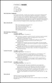 This page features fifteen simple and basic resume templates preferred by hr experts. Free Contemporary School Principal Resume Examples Resume Now