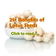 21 Lotus Seed Benefits Phool Makhana Or Fox Nuts Lifeinvedas Seeds Benefits Dry Fruits Benefits Benefit