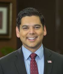 THE CANDIDATES: U.S. House of Representatives, 25th District