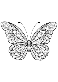 Butterfly Beautiful Patterns 5 Butterfly With Beautiful Patterns 5 From The Gall Butterfly Pictures To Color Insect Coloring Pages Butterfly Coloring Page