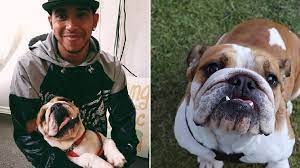 The formula 1 driver is regularly seen with his pet dog, roscoe. Lewis Hamilton Dog Dies As Racing Star Says His Heart Is Broken Metro News