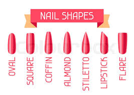 Acrylic Nail Shapes Set Various Types Stock Vector Colourbox Almond nail is one such shapes of acrylic nails which has all that to make your fingers and nails look feminine.