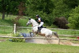 Auf den plätzen zwei und drei hinter julia mestern aus rohlsdorf mit grand prix (26,20) ist christoph wahler (bad bevensen) mit carjatan nach der ersten von drei teilprüfungen. Luhmuhlen Julia Krajewski Ist Deutsche Meisterin Vielseitigkeit Reitsport Magazin