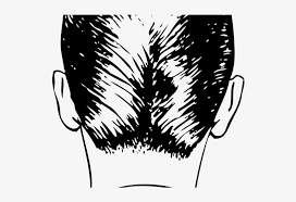 You only need to opt for the right length and finish. Hairstyles Clipart Male Head Mike Hynson Surfer Bio 640x480 Png Download Pngkit