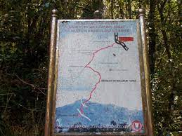 Hai assalamualaikum semua,03.07.2020 (jumaat) kakngah hiking gunung jerai dengan team pdrm & jabatan perhiliitan. Gunung Jerai Gunung Bagging