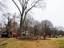 For more than 40 years, woodstock tree service has been providing woodstock tree removal services and its surrounding areas. Fully Licensed Tree Service Tree Service N More Inc