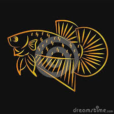Betta Wild Fish Line Art Golden Minimalist Vector Logon Di 2020 Ikan