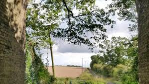 Community policing in the epping forest district. Hikes In Epping Forest Travel Guide Outdooractive Com
