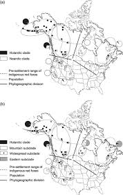 Geographic Distribution Of Cytochrome B A And D Loop B