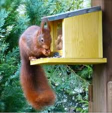 Profi Fur Vogelhaus Insektenhotel Futterhaus Nistkasten Vogelfutter Ein Heim Fur Tiere Schaffen Insektenhotel Tierhauser Eichhornchen Lebensraum
