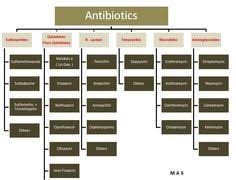 10 Best Antibiotics Images Pharmacology Pharmacology
