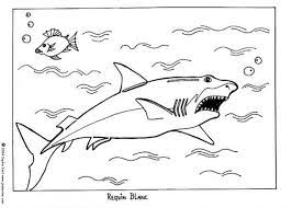 Coloriage Du Grand Requin Blanc Au Milieu De L Ocean Un Coloriage Pour Les Enfants Pour Leurs Faire Decouvrir Le Coloriage Requin Coloriage Coloriage Animaux