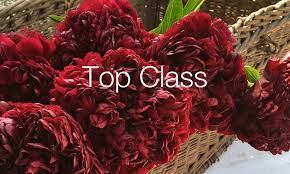 Buy artificial peony flowers and get the best deals at the lowest prices on ebay! Peony Cut Flowers