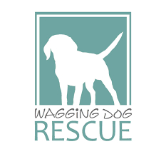 Welcome to thrive animal rescue, an adoption organization founded by cece bloum. Wagging Dog Rescue A Foster Based So California Denver Rescue