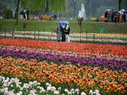So in a single word, vaishno devi temple is one of the best attractions in kashmir where theists or apart from that, nagin lake, tulip garden, pari mahal, chatti padshahi, chashma shahi garden convert the city from simple to. Kashmir Tulip Garden Opens For Visitors Oneindia News