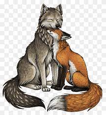 You can edit any of drawings via our online image editor before downloading. Red Fox Gray Wolf Drawing Fox Mammal Animals Carnivoran Png Pngwing