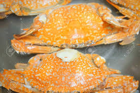 Maybe you would like to learn more about one of these? Immagini Stock Cucina E Cibo Granchio Blu Al Vapore Uno Dei Frutti Di Mare Piu Famosi Al Mondo Image 91627107
