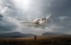 Provided to youtube by jemp recordsturtle in the clouds · phishkasvot växt: Wallpaper People Flight Clouds Turtle Fantasy Landscape Art Art Fiction Flies Surreal Parallel Reality Everton Gali By Everton Gali Images For Desktop Section Fantastika Download