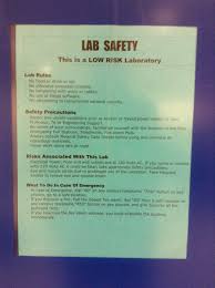Lab manager recently scoured the safety policies of several laboratories to determine some of the most common lab safety rules out there, to help the following are rules that relate to almost every laboratory and should be included in most safety policies. Safety In The Laboratory Electrical Computer And Biomedical Eng Ryerson