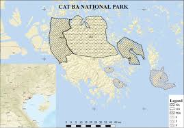 Image result for Cissus nigropilosa