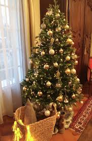 Découvrez nos réductions sur l'offre décoration intérieure de noel sur cdiscount. Une Decoration De Fetes Theme Nature Avec Truffaut Home By Marie