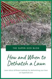 Beside this, what ph does zoysia grass need? How And When To Dethatch A Lawn