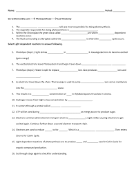 Snurfle meiosis worksheet answer key page 2. Biomanbio Worksheets