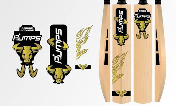 Design premium cricket bat stickers with unique design by Abdullahajmeri | Fiverr