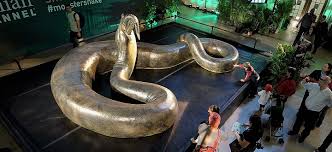 Maybe you would like to learn more about one of these? Titanoboa Ular Terbesar Di Dunia Kabar6 Com