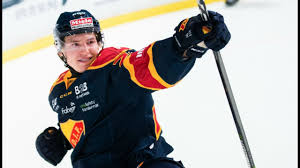 Djurgården is currently playing in the swedish premier ice hockey league, the swedish hockey league. Marcus Davidsson 17 18 Shl Highlights Djurgarden Hockey Youtube