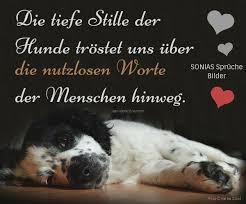 Pin Von Hingerl Stupar Auf Gruesse Und Sprueche Hund Bester Freund Hundespruche Tierspruche