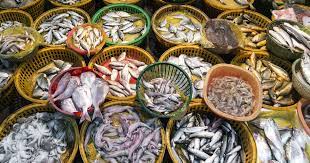 Check spelling or type a new query. Chinese Seafood Production And Consumption Predictions Released The Fish Site