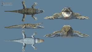 African Animal Crocodile Bundle 2 Pcs Sponsored 3d Crocodile Animal African Bundle African Animals Animals Crocodile Animal