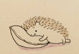 Hedgehog Bear Ad 1 Igel Bar Hedgehog Bear Eyelashesblackgirl Eyelasheshacks Eyelashesilustra Hedgehog Drawing Hedgehog Art Hedgehog Illustration