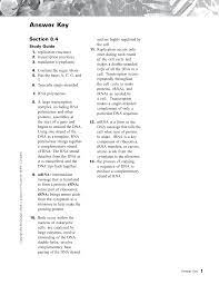 It strings together two complementary dna strands. Answer Key